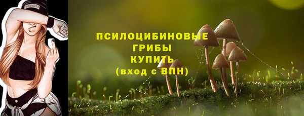 mdpv Бронницы