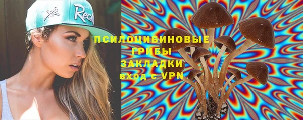 мет Бородино
