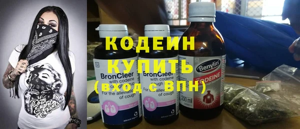 мет Бородино